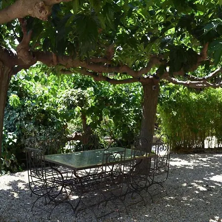 La Pierre Plantee A 4 Km De La Mer Sainte-Maxime